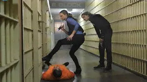 Мыслить как преступник 11 сезон 22 серия